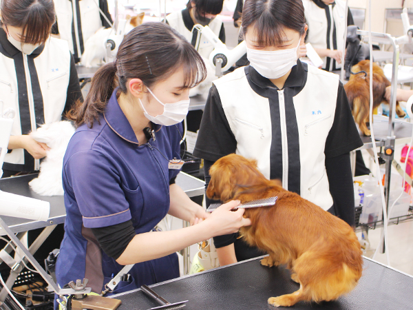 シャンプーの技術を確認♪